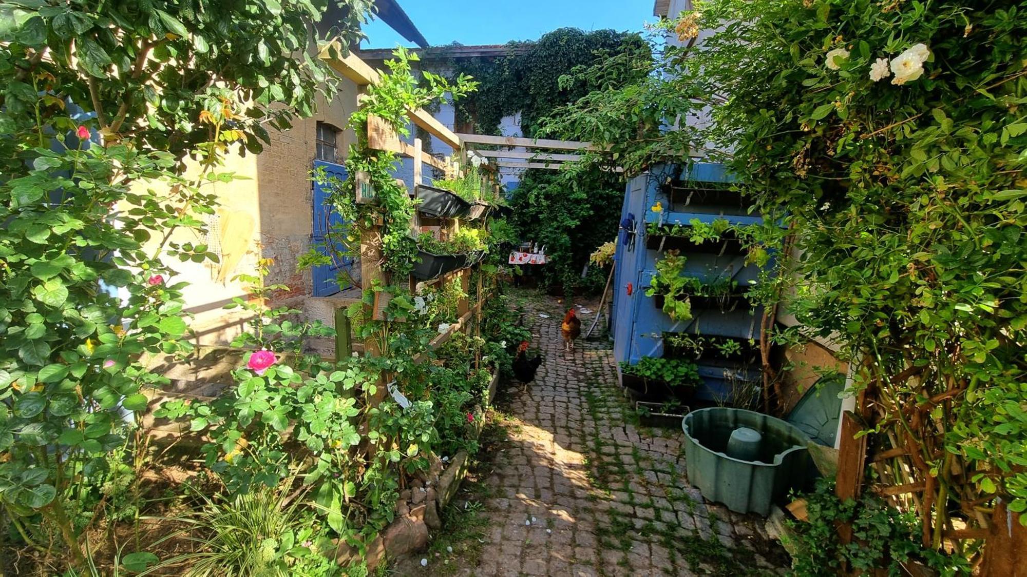 Bauernhof Privatzimmer Hortus Sandrine Gemeinschaftsbad Free Wifi Hausbreitenbach Exterior foto